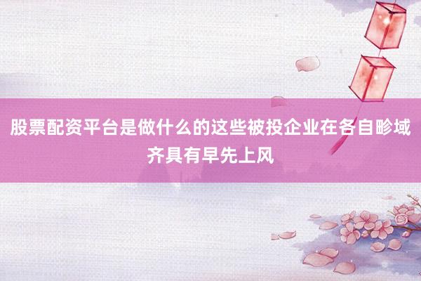 股票配资平台是做什么的这些被投企业在各自畛域齐具有早先上风