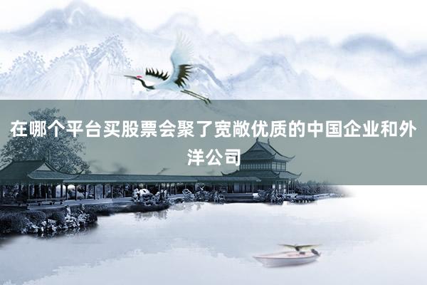 在哪个平台买股票会聚了宽敞优质的中国企业和外洋公司