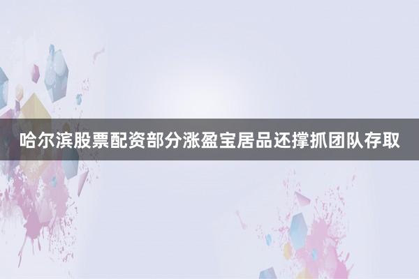 哈尔滨股票配资部分涨盈宝居品还撑抓团队存取
