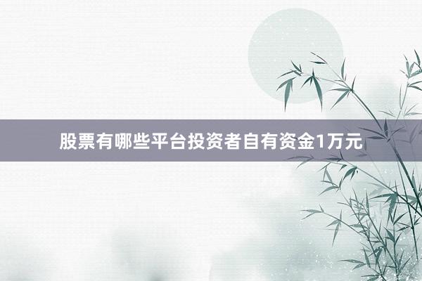 股票有哪些平台投资者自有资金1万元