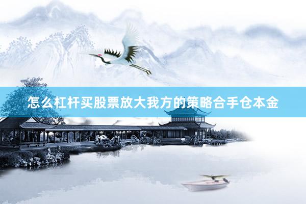 怎么杠杆买股票放大我方的策略合手仓本金