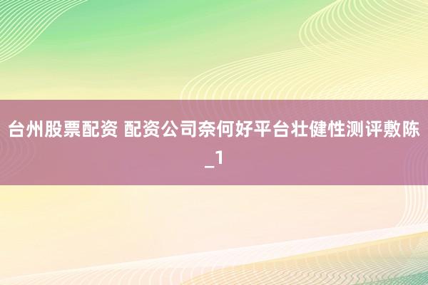台州股票配资 配资公司奈何好平台壮健性测评敷陈_1